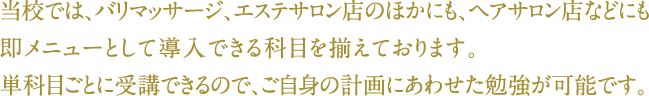 当校では、バリマッサージ、エステサロン店のほかに、ヘアサロン店などにも即メニューとして導入できる科目を揃えております。単科目ごとに受講できるので、ご自身の計画にあわせた勉強が可能です。